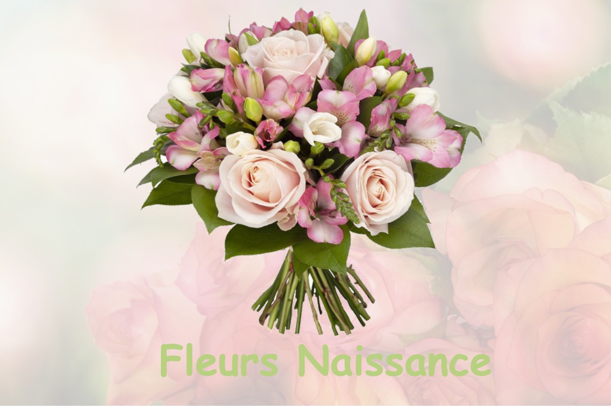 fleurs naissance LUZY-SAINT-MARTIN