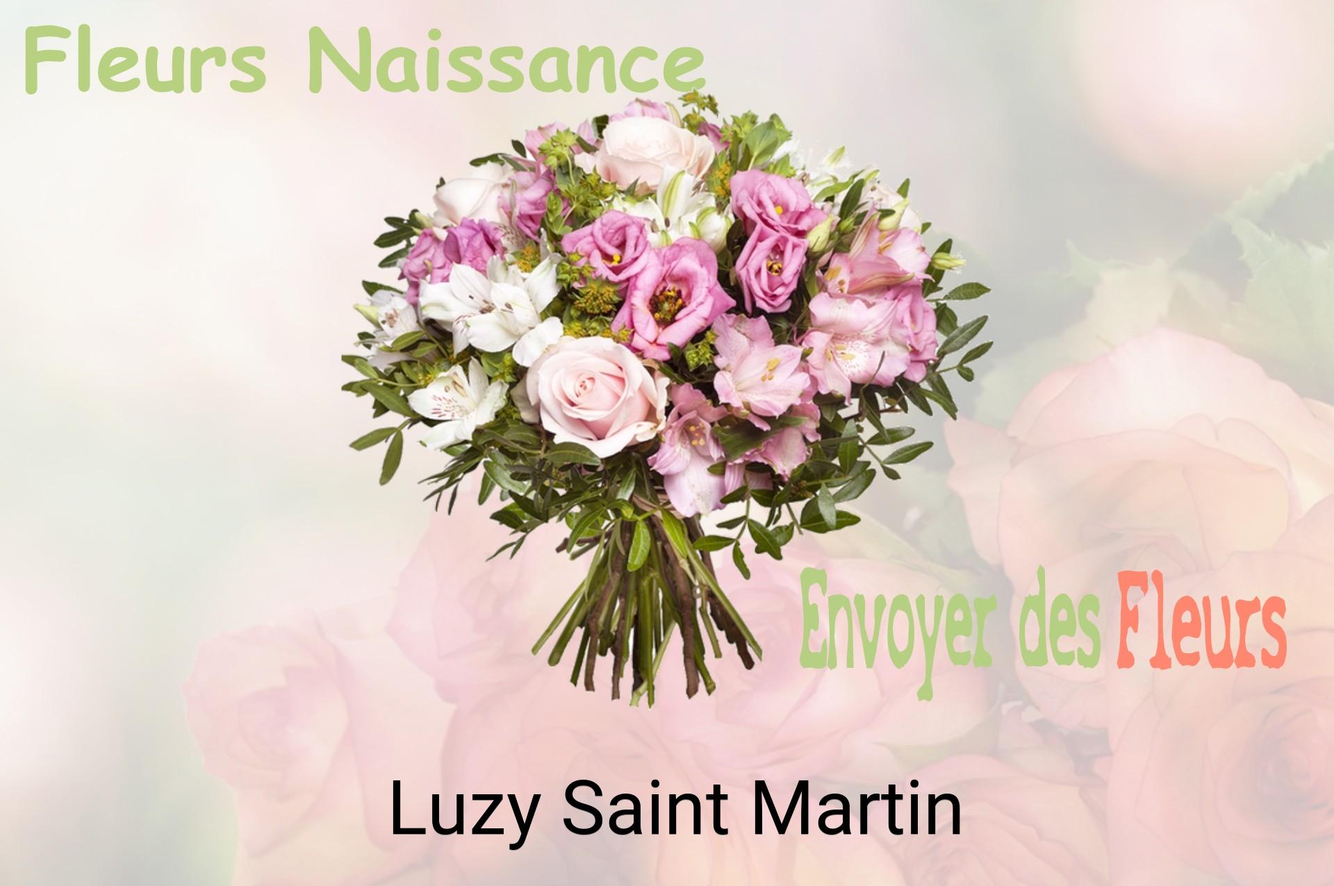 Bouquet de fleurs de naissance livré à Luzy-Saint-Martin