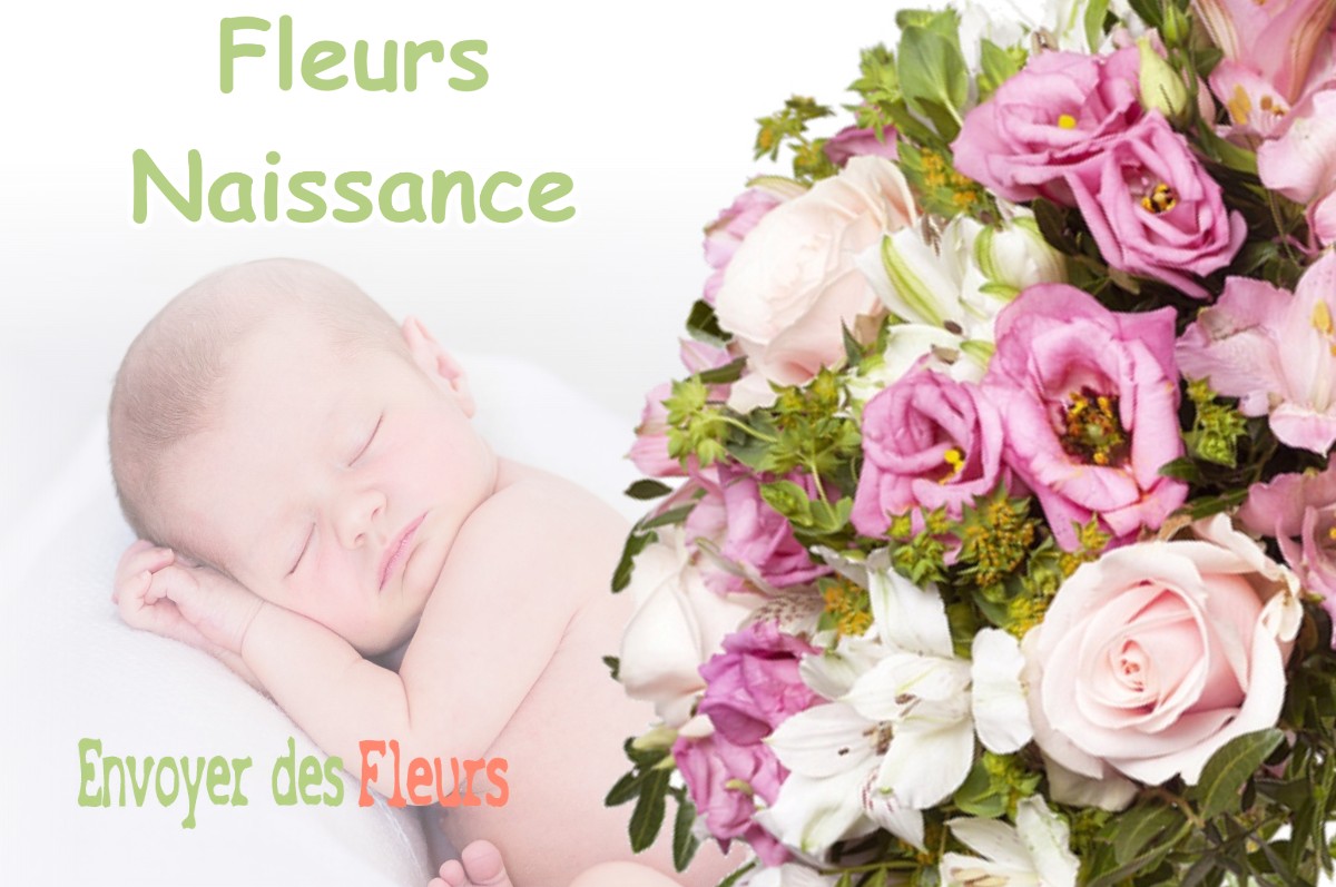 lIVRAISON FLEURS NAISSANCE à LUZY-SAINT-MARTIN